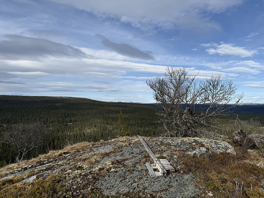 På toppen av Åborsjøkampen (886 m).