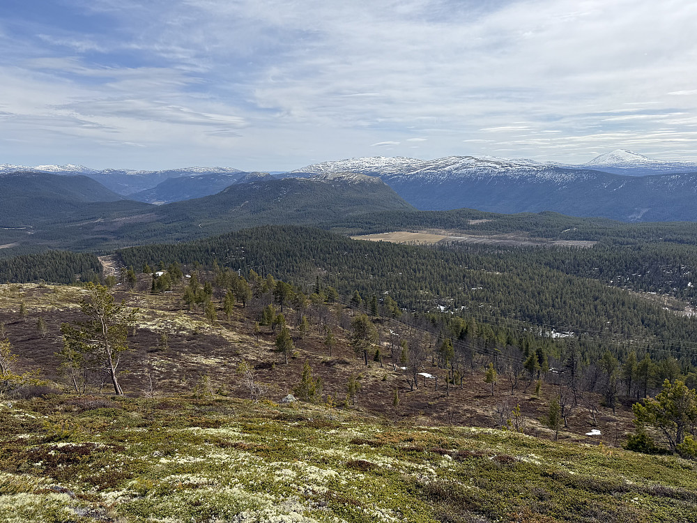 Fra Tolstadkampen (1042 m) mot syd.