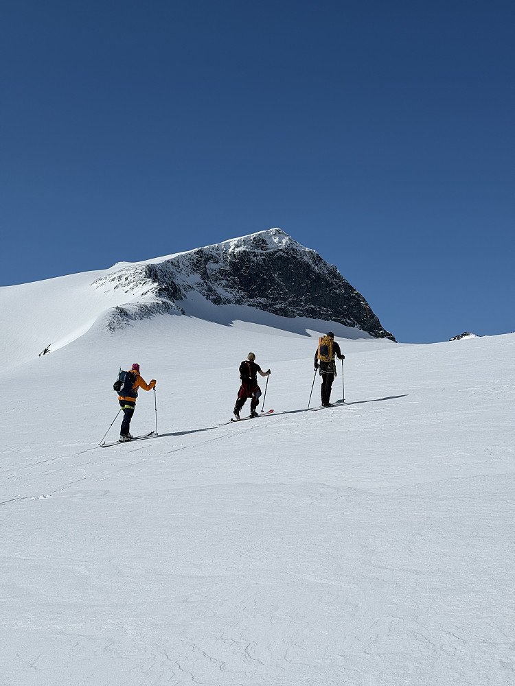 På vei opp Styggebrean med Galdhøpiggen (2469 m) i bakgrunnen.