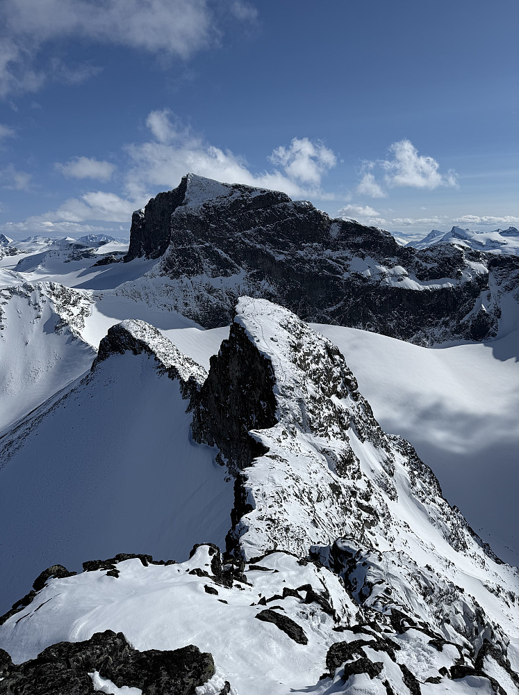 Utsikt mot syd fra Bakarste Storgrovhøe (2259 m) til Storgrovtinden (2229 m) med Skardstinden (2373 m) I bakgrunnen. Til venstre ses Storjuvbrean og til høyre Heimre Illåbrean.
