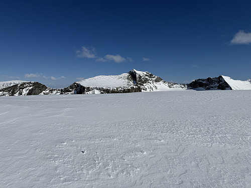 Fra Fremste Storgrovhøe (2253 m) mot Veslepiggen (2369 m) og Galdhøpiggen (2469 m).