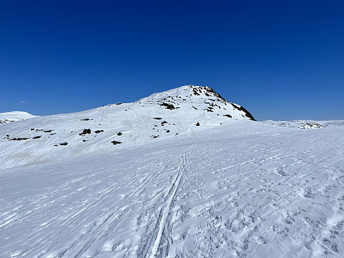 Dagens første topp; Nordre-Knipen (1553 m).
