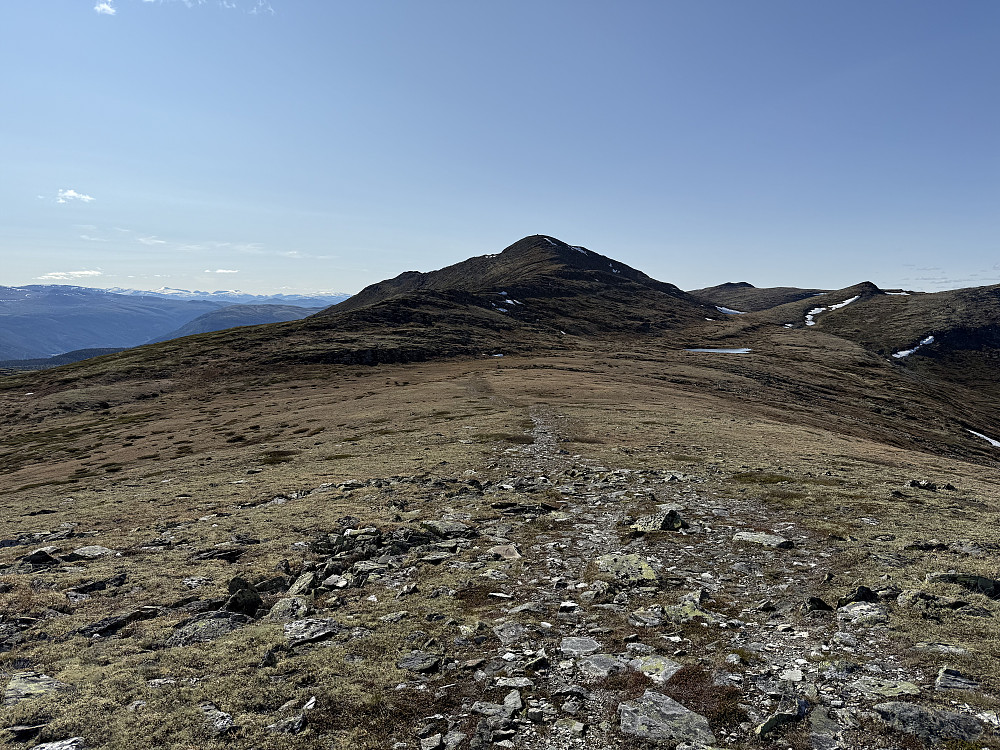 Gråhøa (1431 m) fra øst.
