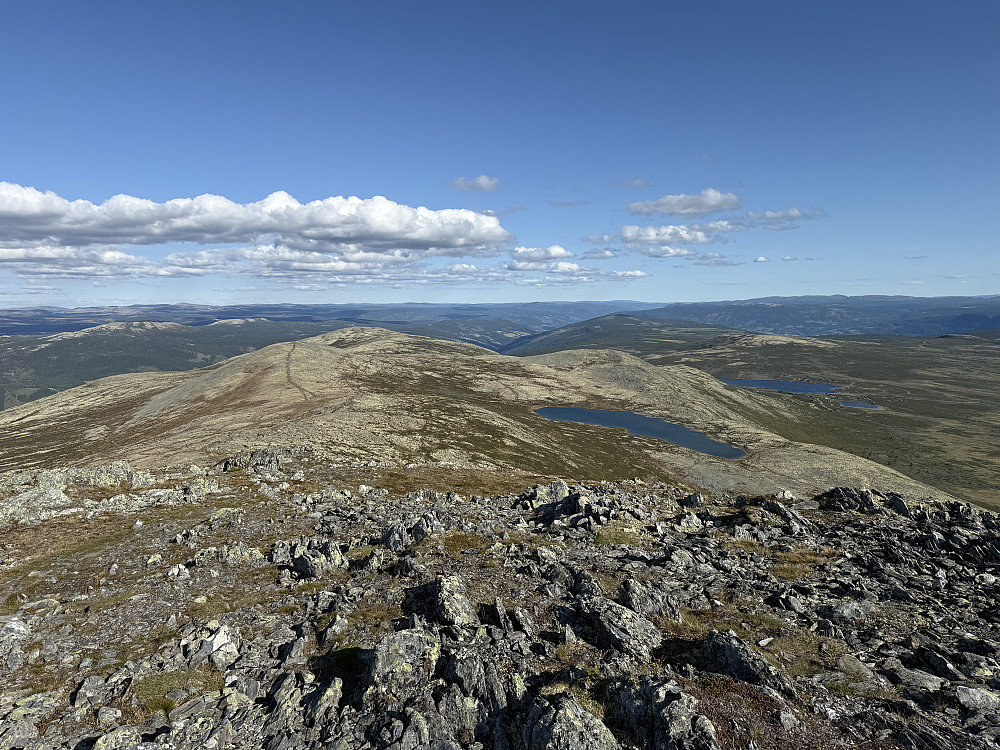 Fra Gråhøa (1431 m) mot øst.
