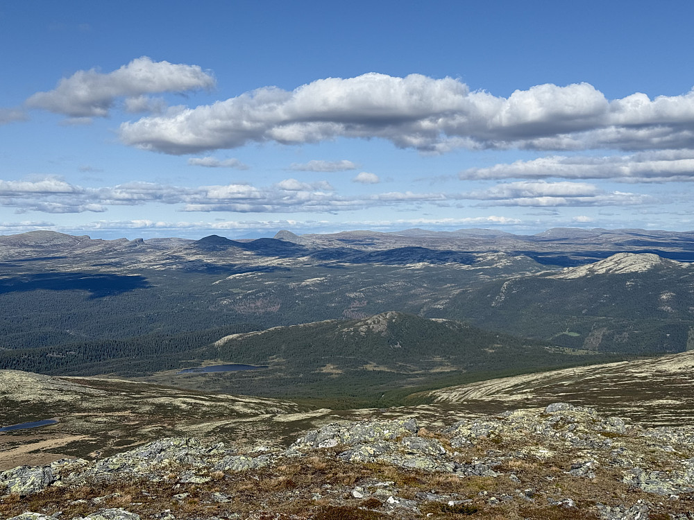 Mot Venabygdfjellet.