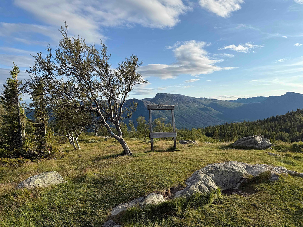 Et idyllisk, åpent terreng på Storhovda (1075 m).
