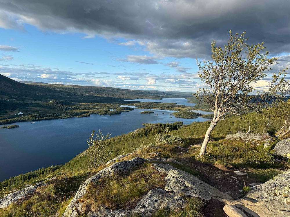 Utsikt mot øst fra Storhovda (1075 m).