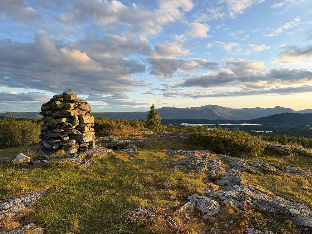 Vidhovd (1060 m). Utsikt mot syd.