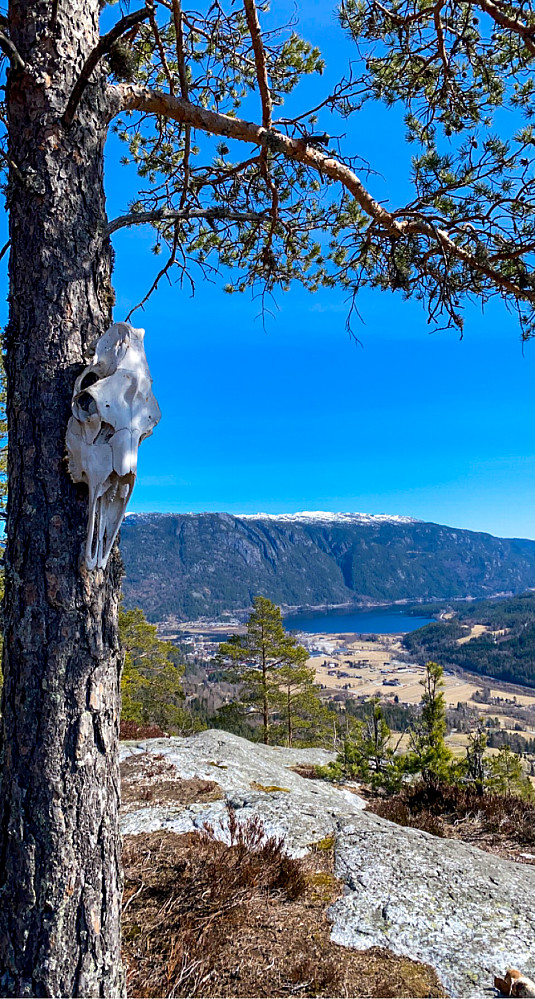 På toppen av Køddefjell