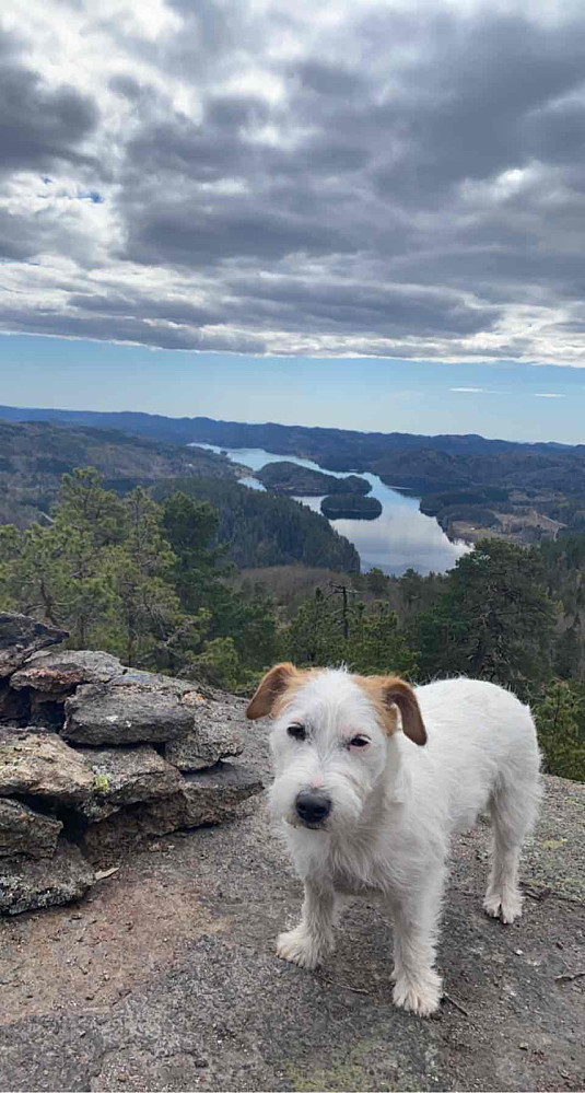 På toppen