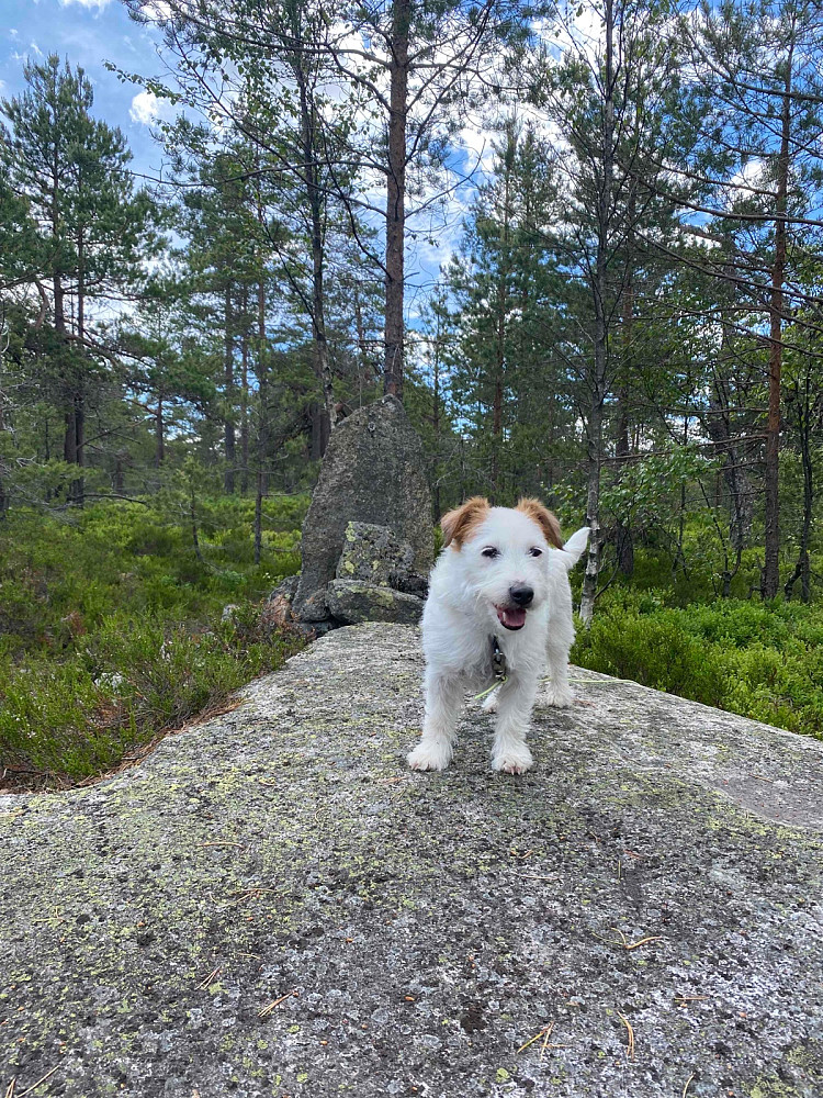 Tuva på toppen