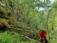 Hawkeye_20220606_629d29bb8b90a.jpg