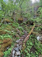 Hawkeye_20220606_629d29cf2c950.jpg