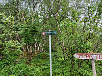 Hawkeye_20220707_62c6cf8c132ac.jpg
