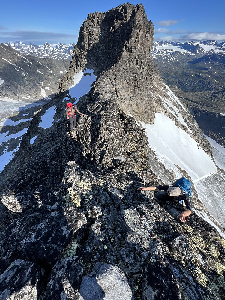 Videre på ryggen fra Midtre Skarvflytinden. Kjempefin rygg! Den bratte hammeren ses godt i bakgrunnen.