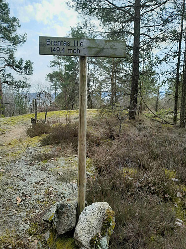 Hyggelig med skilting, men vi juger ikke om høyden, gjør vi vel ? 
Du må vel 100 meter lenger nord for å finne toppunktet, som har akkurat den høyden.