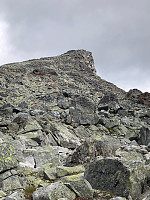 Ellenkolstad_20240908_66ddaac147d8d.jpg