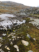 Ellenkolstad_20240908_66ddaac2eff67.jpg