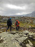 Ellenkolstad_20240908_66ddaac3807da.jpg