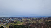 Podlesten_20240319_65f98ad9a3b76.jpg