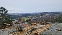 Podlesten_20240319_65f98adc866a8.jpg