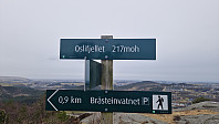 Podlesten_20240319_65f98add7cd0f.jpg