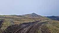 Podlesten_20240321_65fc074c194f0.jpg