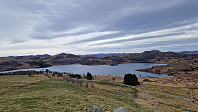 Podlesten_20240409_661525b47cec7.jpg