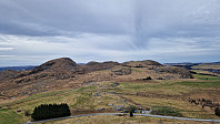Podlesten_20240409_661525b56b0c5.jpg