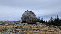 Podlesten_20240409_661525b84bf80.jpg