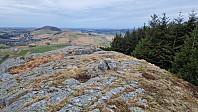 Podlesten_20240409_661525b95a86f.jpg