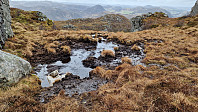 Podlesten_20240414_661bd35a35ff5.jpg