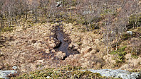 Podlesten_20240414_661bd36047ebb.jpg