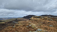 Podlesten_20240414_661bd362476f5.jpg
