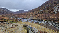Podlesten_20240414_661bd3674247d.jpg