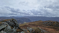 Podlesten_20240414_661bd3746fe8b.jpg