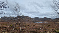 Podlesten_20240414_661bd37720b2f.jpg