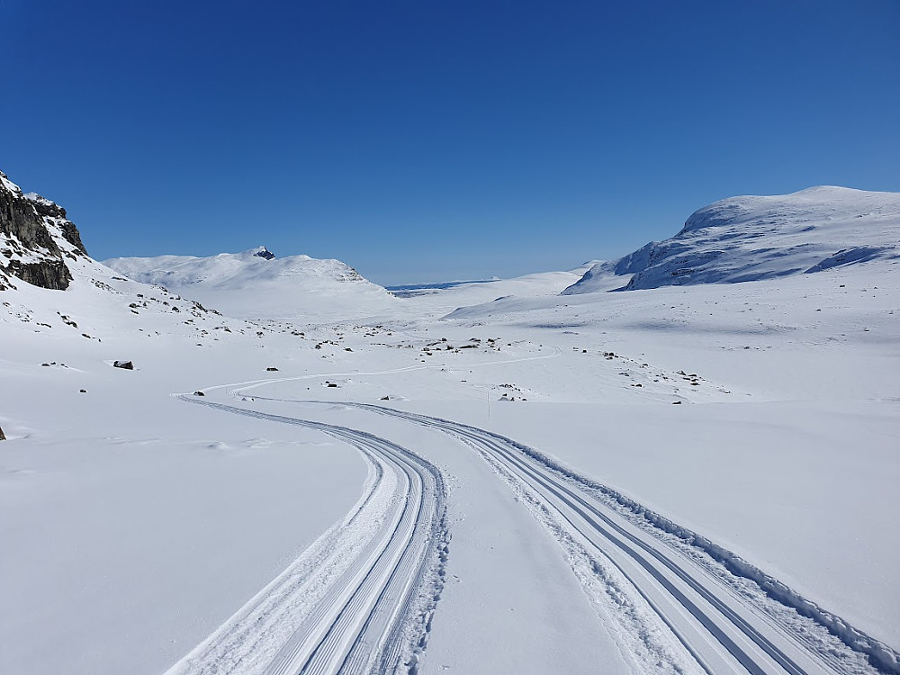 Ned mot Jødntjedn og Belgen