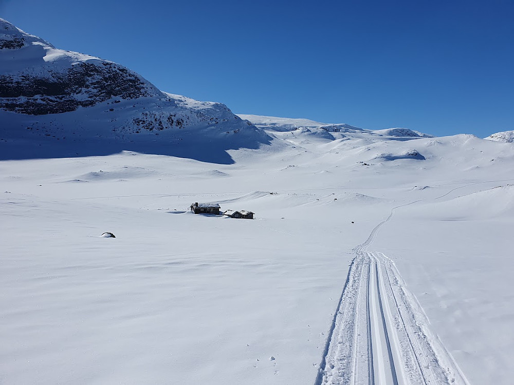 Tilbake mot Belgen