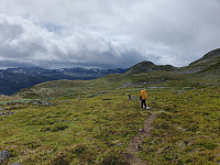 HanneKarlsen_20230720_64b8f41a21e39.jpg