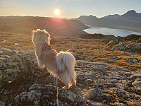 HanneKarlsen_20240902_66d5a6f642dbe.jpg