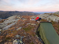 HanneKarlsen_20240902_66d5a6f6bcbde.jpg