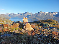 HanneKarlsen_20240902_66d5a6f7cd962.jpg