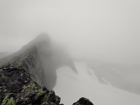 Jorgenbe_20220821_630290c3cea25.jpg