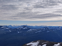 Jorgenbe_20220821_6302922f22d90.jpg