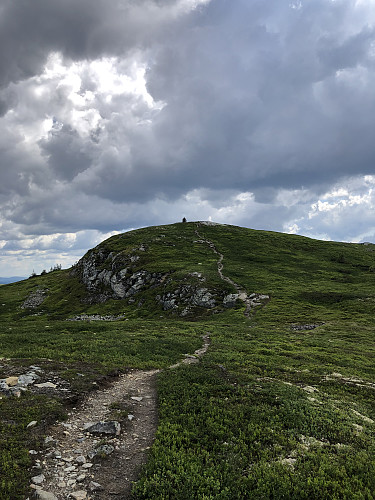 Toppen av Gammelhans slik man ser den fra stien på vei opp.