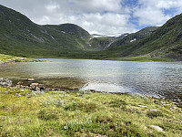 agnar_20210719_60f59b8604ab2.jpeg