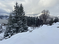 agnar_20220202_61fa8f33d4f2a.jpeg