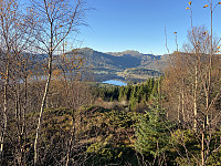 agnar_20221019_6350341cd835f.jpeg