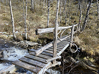 agnar_20230504_6453d35271eca.jpeg